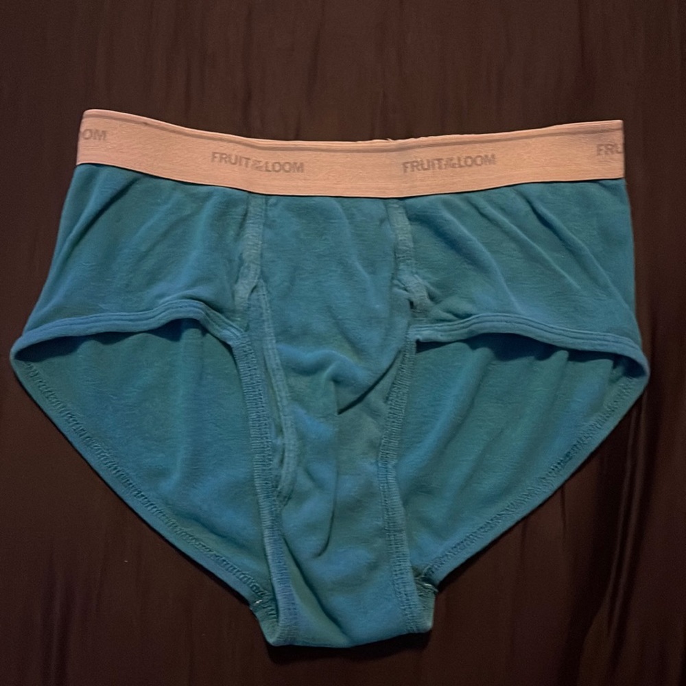 Worn in Fruit of the Loom M Blue Green Briefs